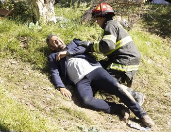 Grey's Anatomy : Station 19