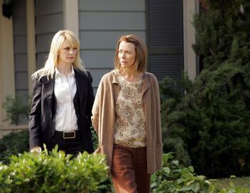 Cold Case : affaires classées