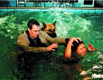 Rex, chien flic