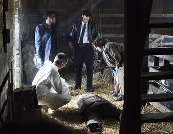 Les enquêtes de Vera