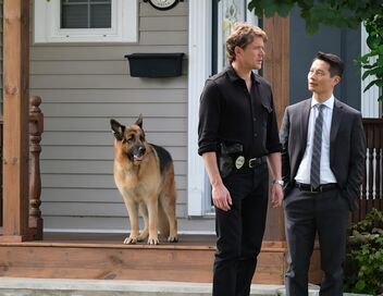 Hudson et Rex