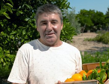 Cuisines des terroirs