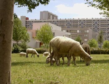 Le champ des possibles