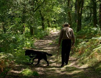 Mitterrand confidentiel