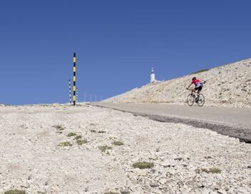 Triathlon : World Triathlon Series