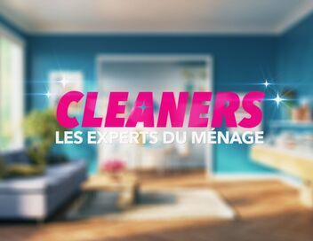 Cleaners les experts du ménage