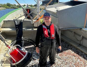 Les pêcheurs face aux phoques de la Baltique