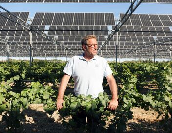 Bonnes nouvelles de la planète