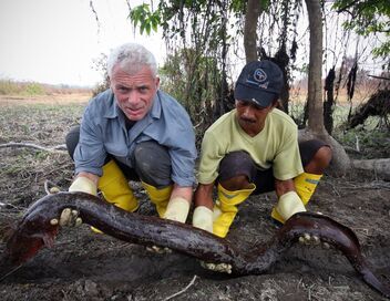 River Monsters