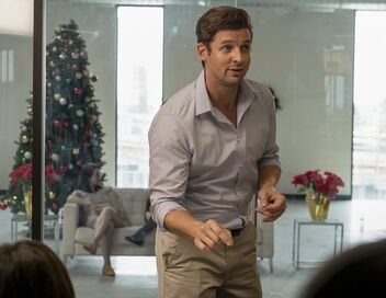 Douze chiots pour Noël