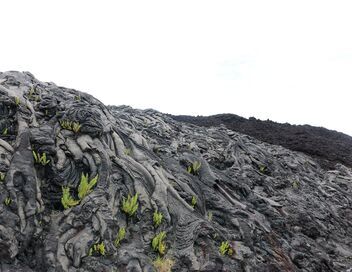 Les paradis naturels d'Hawaï