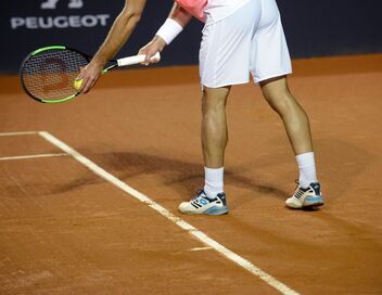 Tennis : Masters 1000 de Monte-Carlo