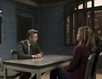 New York Unité Spéciale