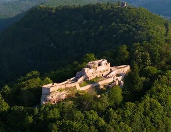 Des racines et des ailes