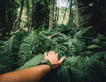 Retour à l'instinct primaire : Adam & Eve