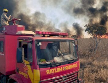 Brésil, sur la piste des jaguars