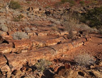 La valse des continents