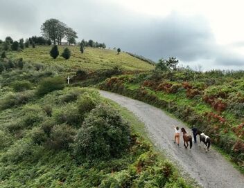 Les 100 lieux qu'il faut voir