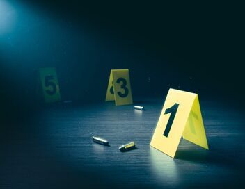 Enquêtes criminelles