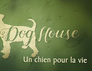 Dog House : un chien pour la vie