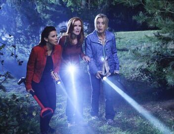 Desperate Housewives