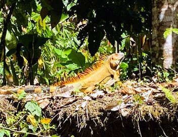 Le Nicaragua : entre volcans, lacs et mers