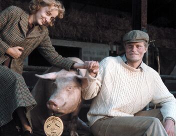 Papy fait de la résistance