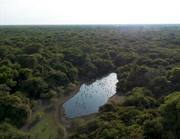 Le lac rebelle du Pantanal