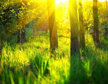 Nature, notre alliée insoupconnée