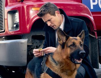 Hudson et Rex