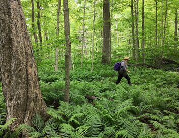 Les nouveaux sanctuaires de la nature