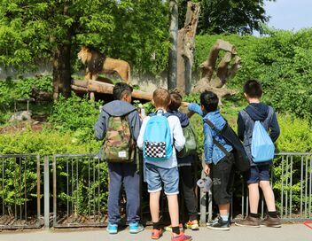 Une saison au zoo