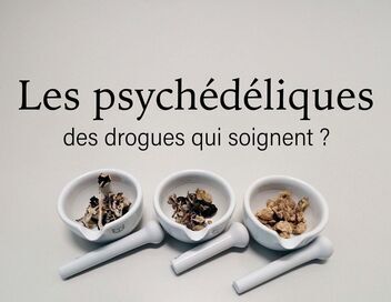 Les psychédéliques, des drogues qui soignent ?