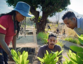 Les sommets d'Afrique