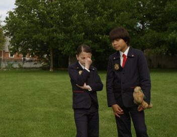 Organisation Super Insolite