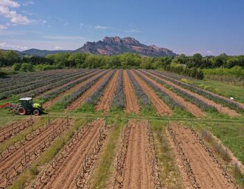 Sale temps pour la planète
