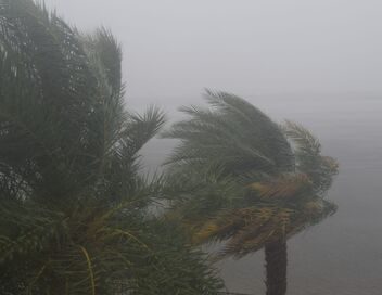 Catastrophes naturelles : survivre au pire
