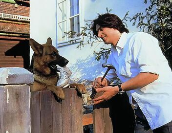 Rex, chien flic