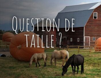 Question de taille ?