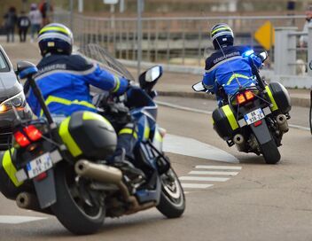 Enquête d'action