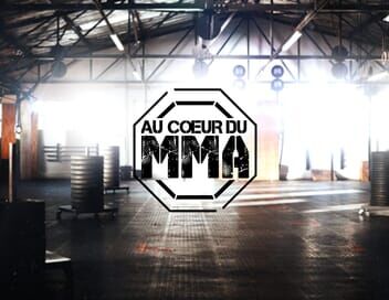 Au cœur du MMA