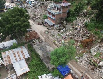 Survivre aux catastrophes : les stratégies de la nature