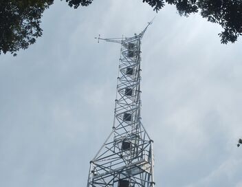 L'arbre de l'authenticité