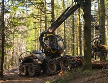 Bûcheron : un métier à hauts risques