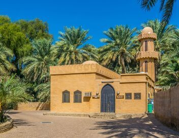 Oasis