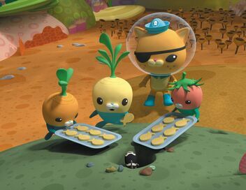 Les Octonauts