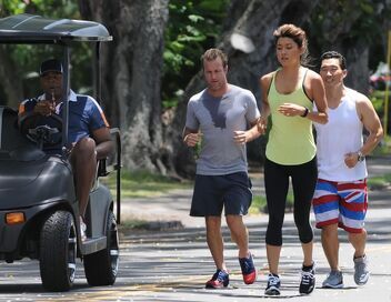 Hawaii 5-0