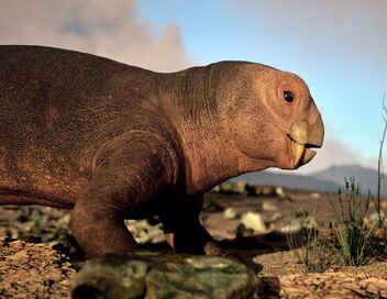 Aux origines des mammifères, le monde avant les dinosaures