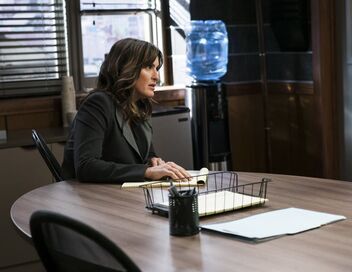 New York Unité Spéciale