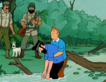 Les aventures de Tintin